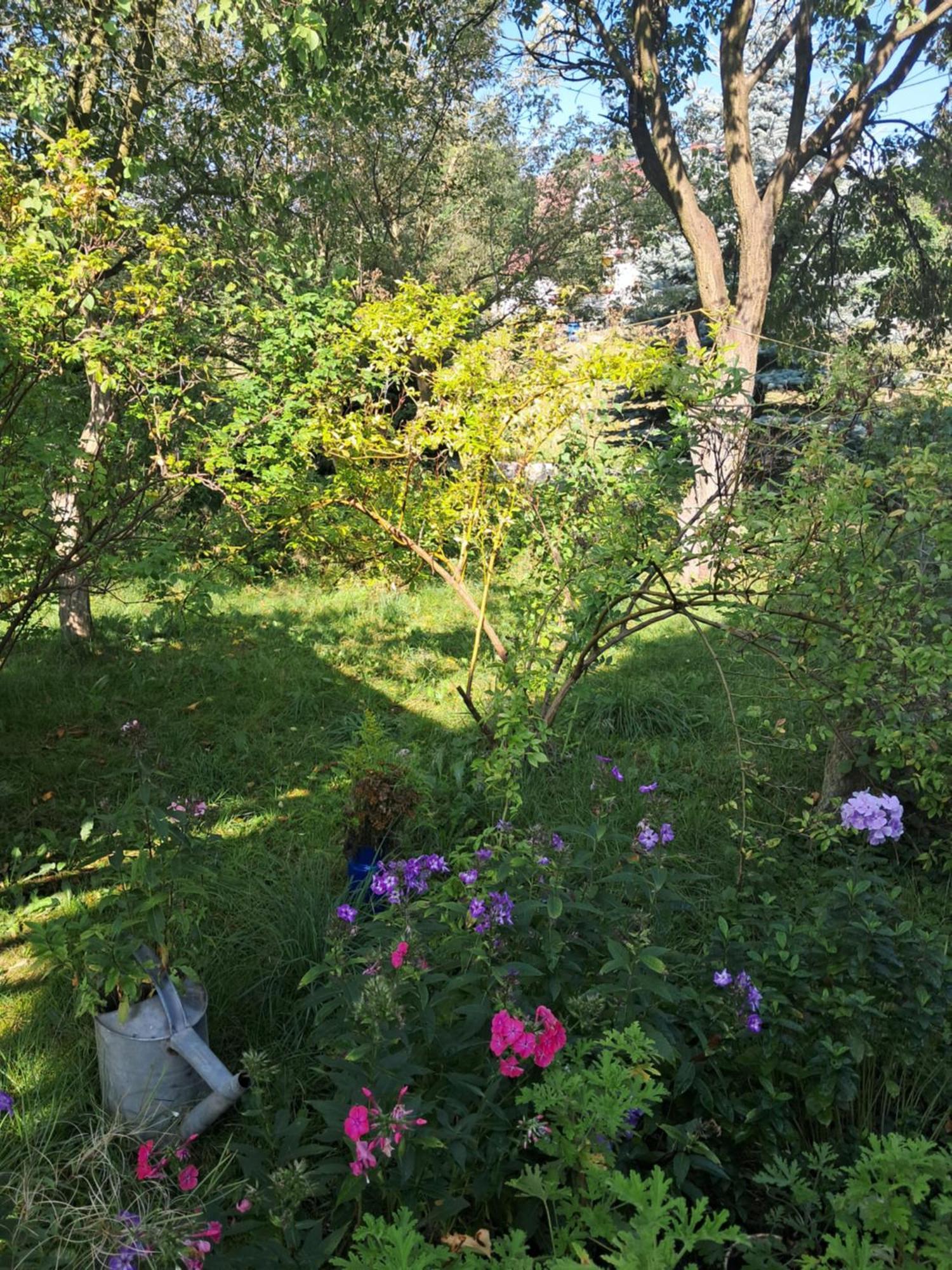 KopaniecPrzytulia Blekitny公寓 外观 照片