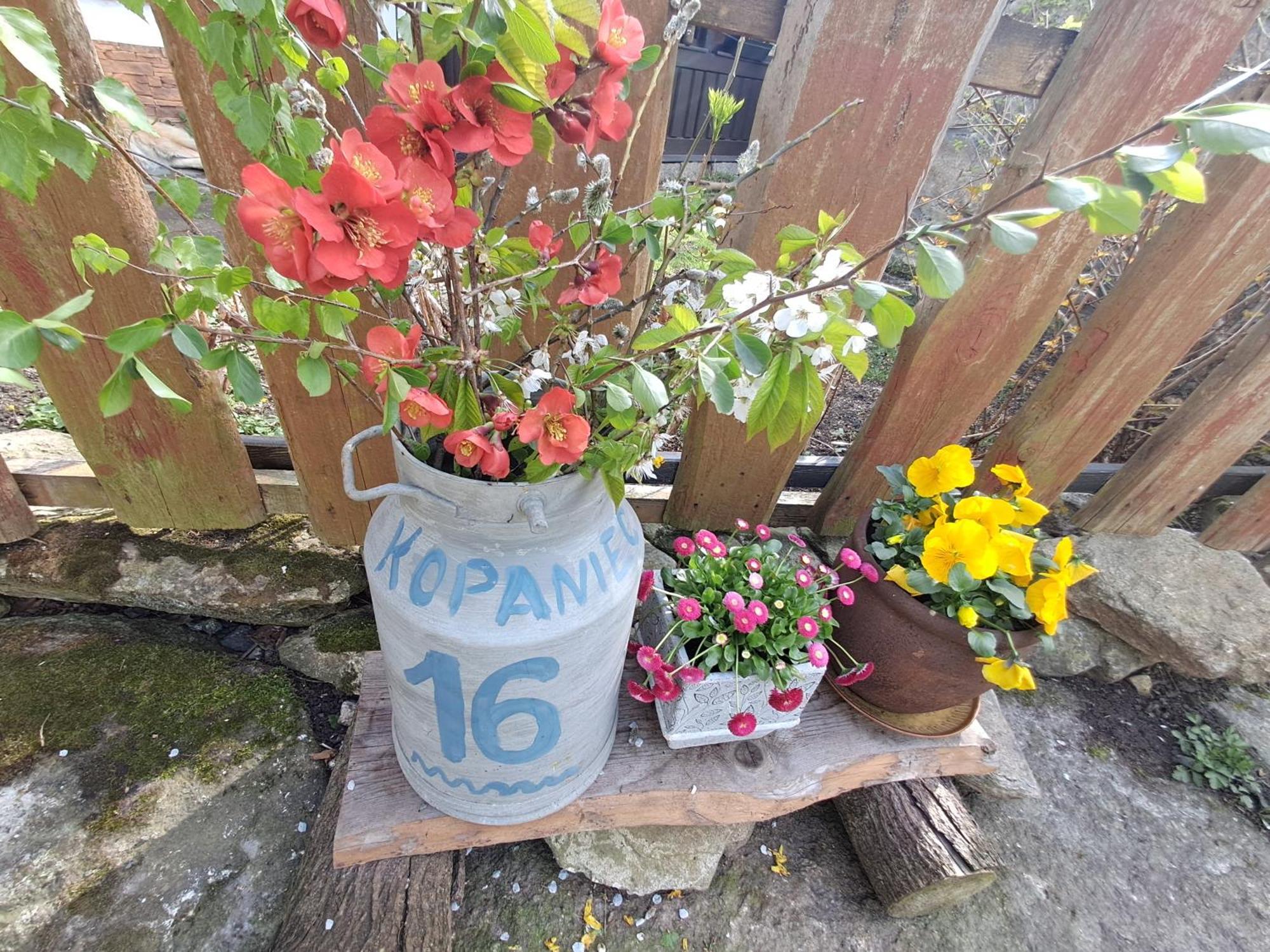 KopaniecPrzytulia Blekitny公寓 外观 照片